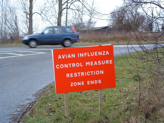 Avian Influenza ( Bird Flu ) Sign