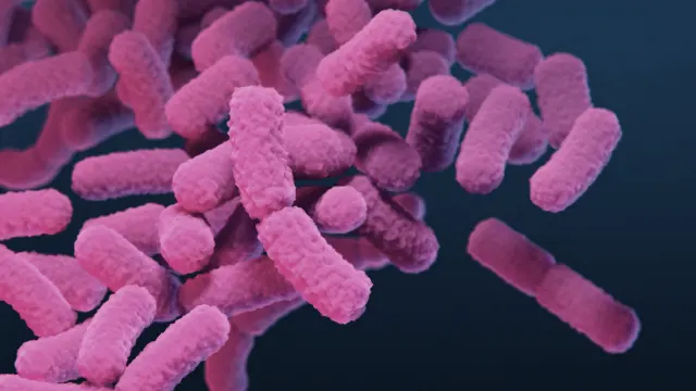 Shigella: Understanding the Rise of Antibiotic-Resistant Bacteria in Children Under 5